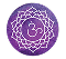 Vedic Logo