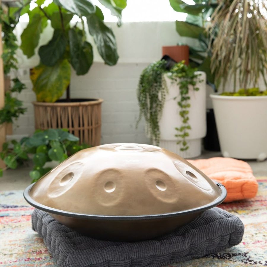 Handpan instrument